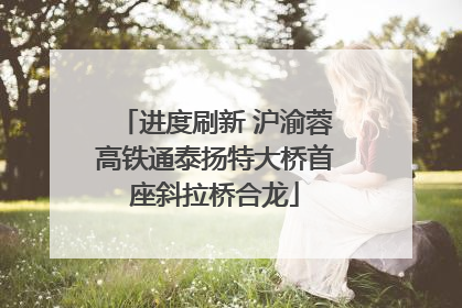 进度刷新 沪渝蓉高铁通泰扬特大桥首座斜拉桥合龙