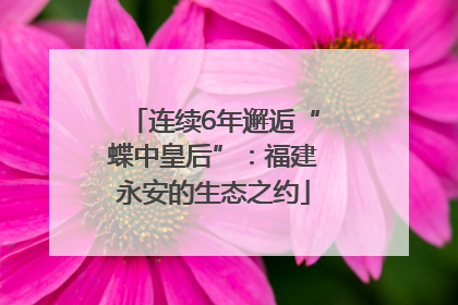 连续6年邂逅“蝶中皇后”：福建永安的生态之约