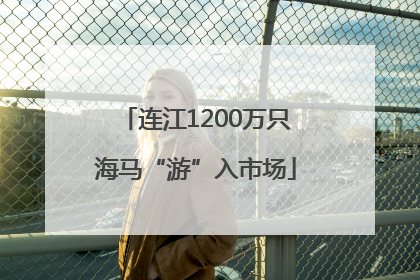 连江1200万只海马“游”入市场
