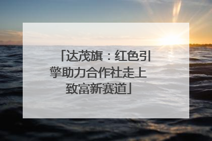 达茂旗：红色引擎助力合作社走上致富新赛道