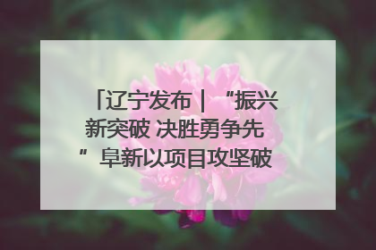 辽宁发布｜“振兴新突破 决胜勇争先”阜新以项目攻坚破解发展瓶颈 经济发展实现良好开局