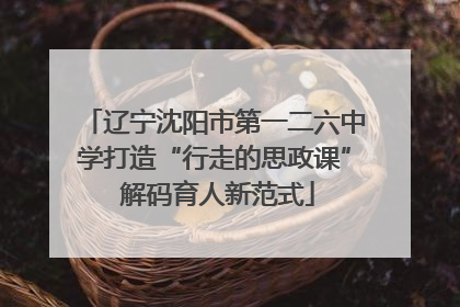 辽宁沈阳市第一二六中学打造“行走的思政课” 解码育人新范式