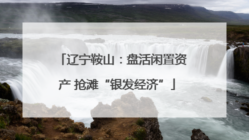辽宁鞍山：盘活闲置资产 抢滩“银发经济”