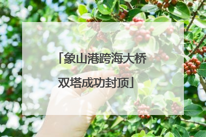 象山港跨海大桥双塔成功封顶