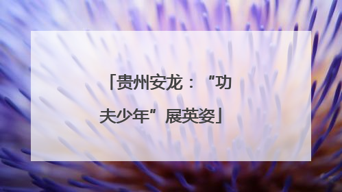 贵州安龙：“功夫少年”展英姿