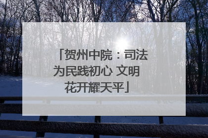 贺州中院：司法为民践初心 文明花开耀天平