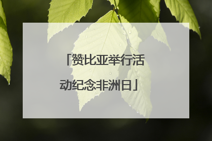 赞比亚举行活动纪念非洲日
