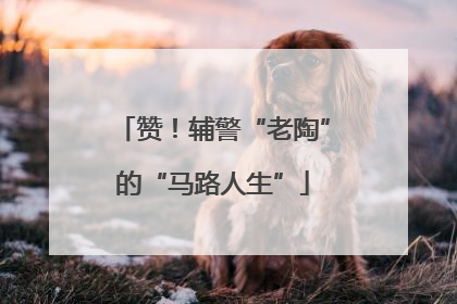 赞！辅警“老陶”的“马路人生”