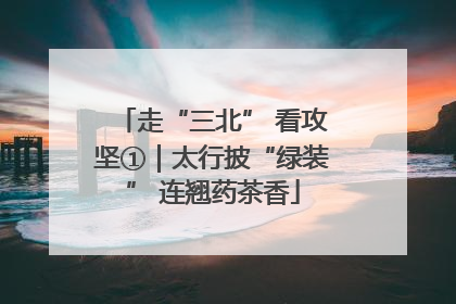 走“三北” 看攻坚①｜太行披“绿装” 连翘药茶香