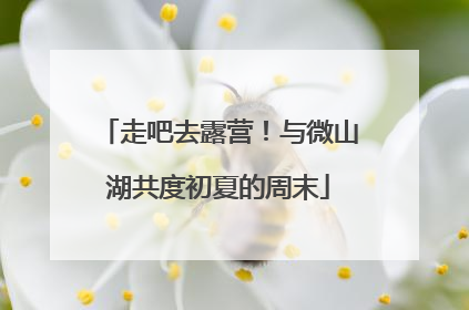 走吧去露营！与微山湖共度初夏的周末