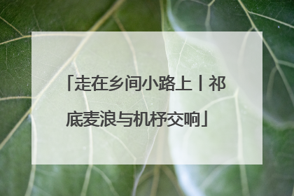 走在乡间小路上丨祁底麦浪与机杼交响