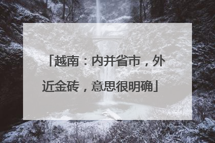越南：内并省市，外近金砖，意思很明确