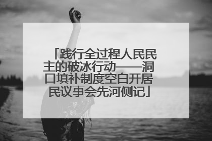 践行全过程人民民主的破冰行动——洞口填补制度空白开居民议事会先河侧记