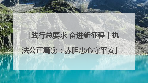 践行总要求 奋进新征程丨执法公正篇③：赤胆忠心守平安