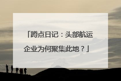 蹲点日记：头部航运企业为何聚集此地？