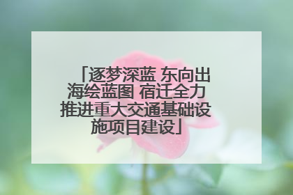 逐梦深蓝 东向出海绘蓝图 宿迁全力推进重大交通基础设施项目建设