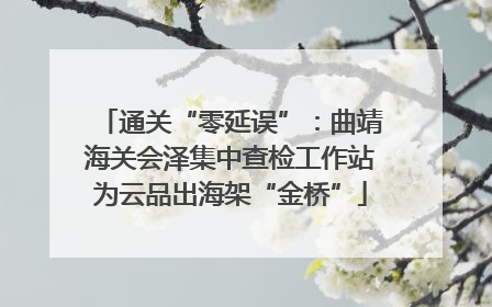 通关“零延误”：曲靖海关会泽集中查检工作站为云品出海架“金桥”