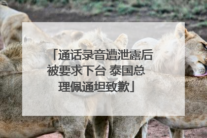 通话录音遭泄露后被要求下台 泰国总理佩通坦致歉