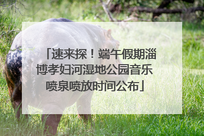 速来探！端午假期淄博孝妇河湿地公园音乐喷泉喷放时间公布