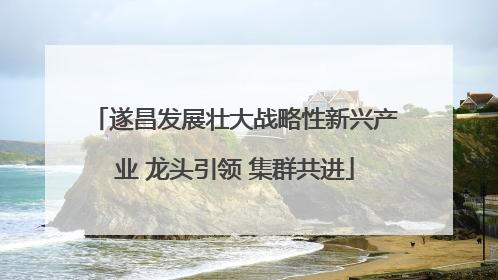 遂昌发展壮大战略性新兴产业 龙头引领 集群共进