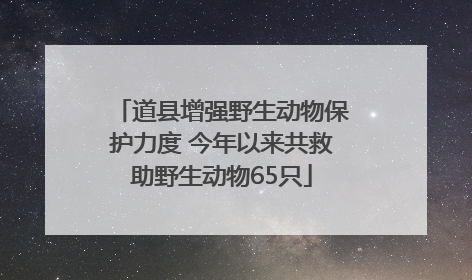 道县增强野生动物保护力度 今年以来共救助野生动物65只
