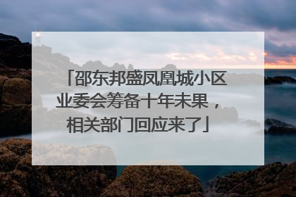 邵东邦盛凤凰城小区业委会筹备十年未果，相关部门回应来了