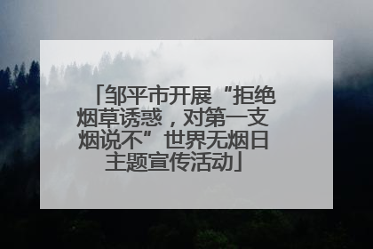 邹平市开展“拒绝烟草诱惑，对第一支烟说不”世界无烟日主题宣传活动