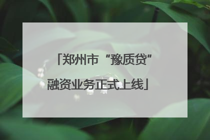 郑州市“豫质贷”融资业务正式上线