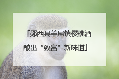 郧西县羊尾镇樱桃酒酿出“致富”新味道