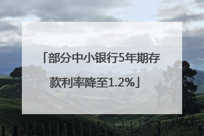 部分中小银行5年期存款利率降至1.2%