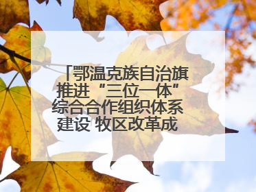 鄂温克族自治旗推进“三位一体”综合合作组织体系建设 牧区改革成果丰硕