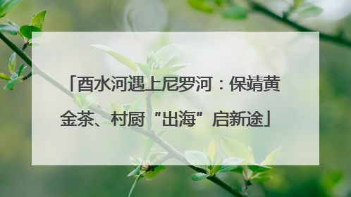 酉水河遇上尼罗河：保靖黄金茶、村厨“出海”启新途