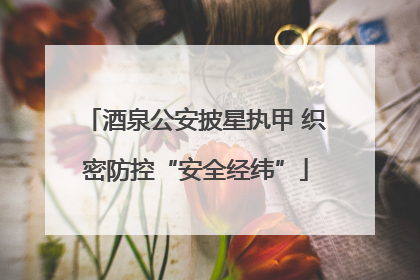 酒泉公安披星执甲 织密防控“安全经纬”