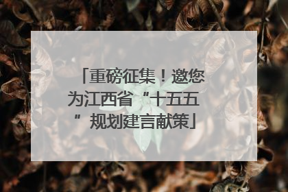 重磅征集！邀您为江西省“十五五”规划建言献策