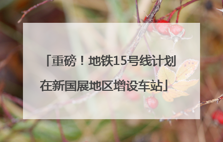 重磅！地铁15号线计划在新国展地区增设车站