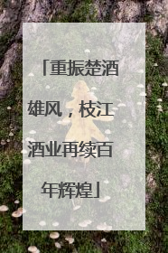 重振楚酒雄风，枝江酒业再续百年辉煌