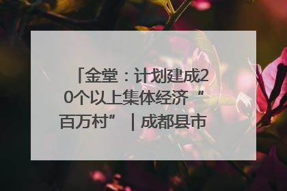金堂：计划建成20个以上集体经济“百万村”｜成都县市新城高质量发展