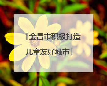 金昌市积极打造儿童友好城市