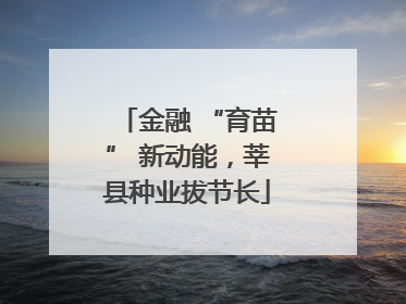 金融 “育苗” 新动能，莘县种业拔节长