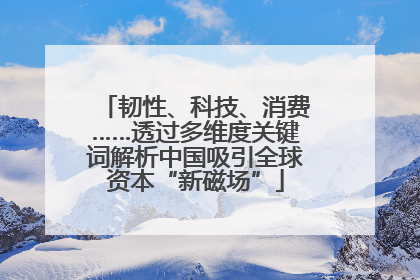 韧性、科技、消费……透过多维度关键词解析中国吸引全球资本“新磁场”