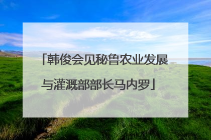 韩俊会见秘鲁农业发展与灌溉部部长马内罗