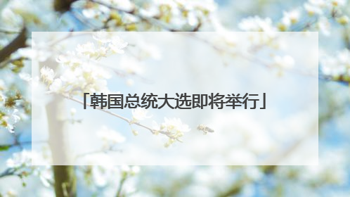 韩国总统大选即将举行