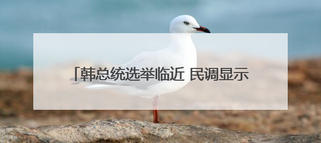 韩总统选举临近 民调显示李在明仍领先但优势缩小