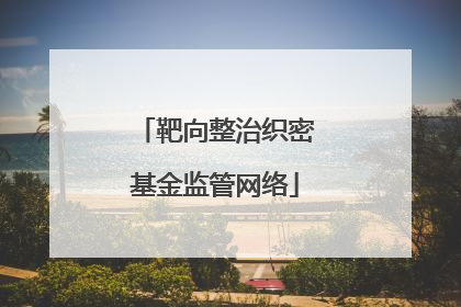靶向整治织密基金监管网络