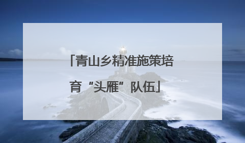 青山乡精准施策培育“头雁”队伍