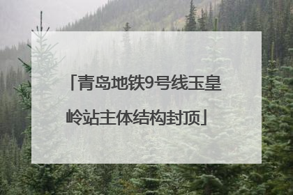 青岛地铁9号线玉皇岭站主体结构封顶