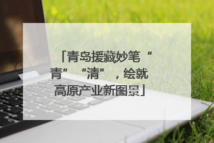 青岛援藏妙笔“青”“清”，绘就高原产业新图景