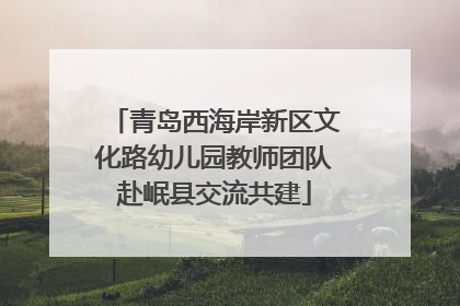 青岛西海岸新区文化路幼儿园教师团队赴岷县交流共建