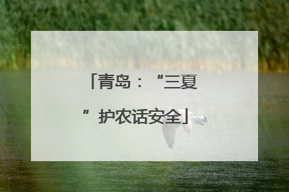 青岛：“三夏”护农话安全