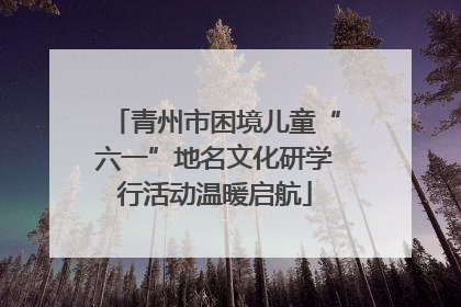 青州市困境儿童“六一”地名文化研学行活动温暖启航